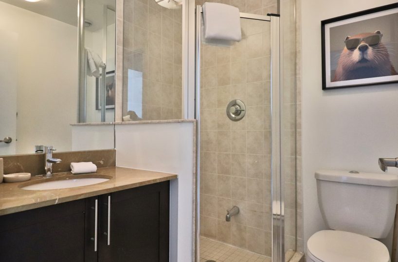 Maple Leaf Square - 65 Bremner Blvd - Furnished Two Bedroom Toronto