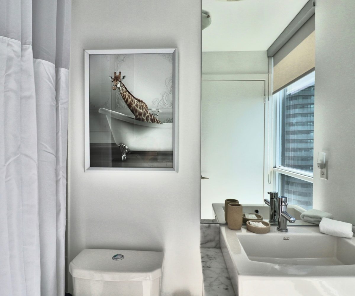 Maple Leaf Square - 65 Bremner Blvd - Furnished Two Bedroom Toronto
